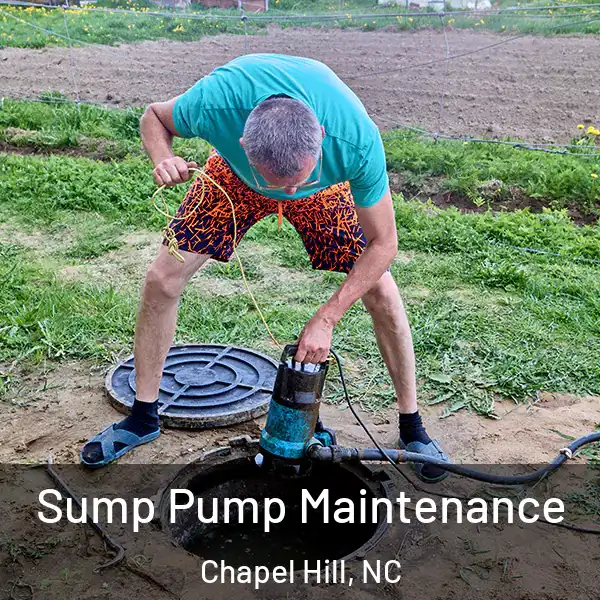  Sump Pump Maintenance Chapel Hill, NC